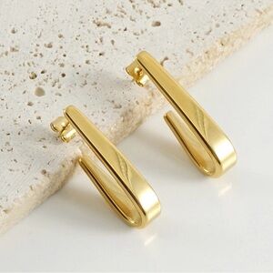 Sleek Gold Plated Earrings